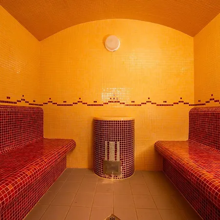 President Montfort Ždiar