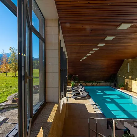 President Montfort Ždiar