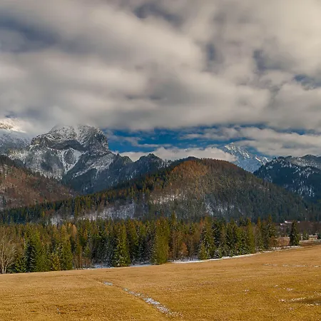 ホテル President Montfort 4*